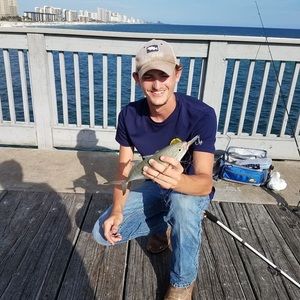 Meet your Posher, Christopher